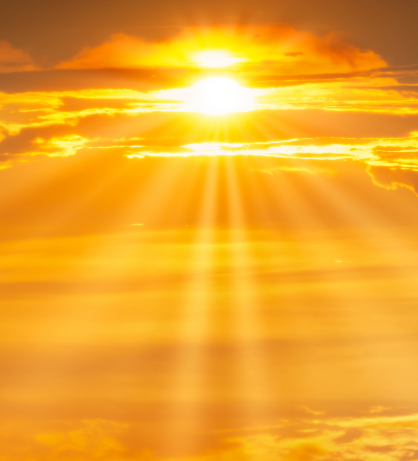 Golden Sunsets Wax Melt Bar