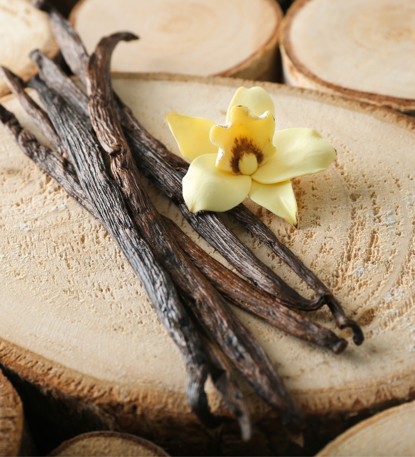 White Oak & Vanilla Wax Melt Bar